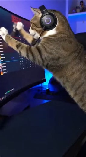 Gamer Cat Can’t Handle Defeat 😹 Smashes Keyboard After Losing! #shorts