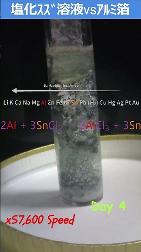 【化学】塩化スズ水溶液にアルミニウム / Tin chloride vs Aluminum #shorts #イオン化傾向 #塩化スズ #アルミニウム