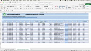 Credit Card Information Spreadsheet - Microsoft Excel & Google Sheets - Track Card Number, Expiration, Balance, Payment Due Date, Minimum - Etsy