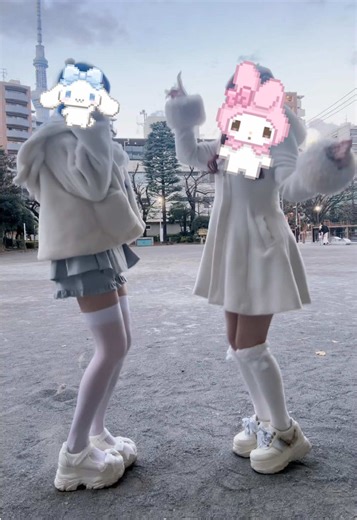 My Melody and Cinnamoroll Collection Showcase