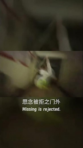 I am a doctor in a mental hospital after being reborn重生归来之，我在精神病院当医生