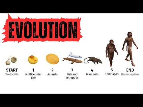 How Did We Evolve from Fish? 🧬 | Human Evolution Explained | Fish से Human तक का सफर