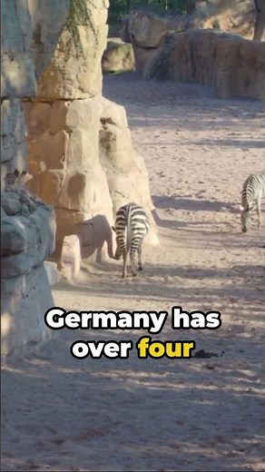 Discover the Hidden Gems of Germany: 10 Fun Facts