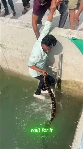 World’s Most Fearless Man? Giant Python vs Bare Hands 😭This Could’ve Gone VERY Wrong… 🐍😳