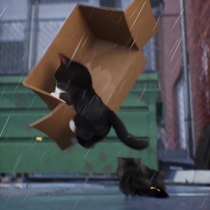 1.1K views · 21 reactions | Do I look MEOWVELOUS? | Kitten Match | Facebook