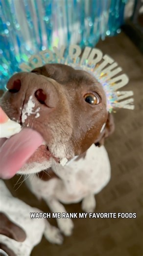 6.6K views · 361 reactions | Maddi is 7️⃣! Happy Birthday to this...