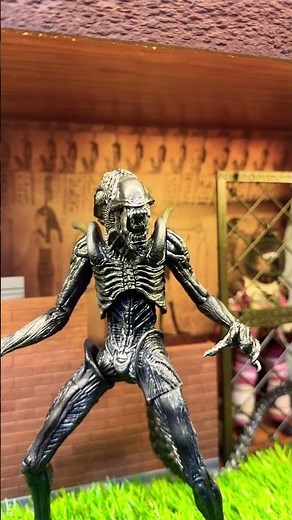 Neca Aliens VS Predator Requiem Alien Warrior Action Figure AVP R #neca #alien #avp #predator
