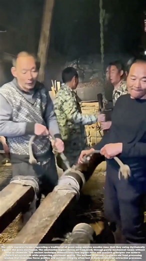 Impact Extraction: How Wooden Beams Release Oil Through Pure Force