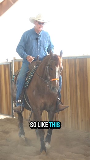 345K views · 9.5K reactions | Part 4: You can’t truly train a cow...