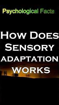 How Does Sensory Adaptation Works #psycholgyfacts #psychology #psychology #psychologyfacts
