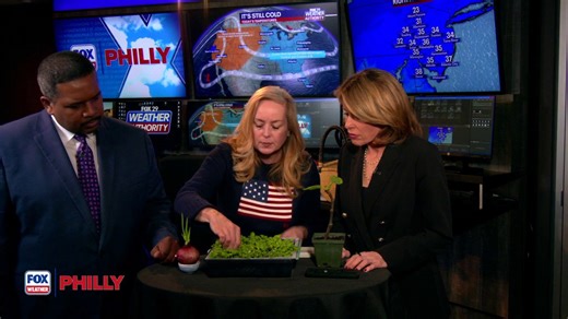 Tuesdays with Toni: Real fiber vs. synthetic fiber | FOX Weather Philly