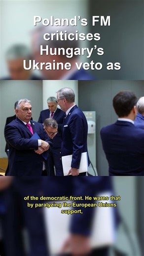 Poland Slams Hungary ProPutin