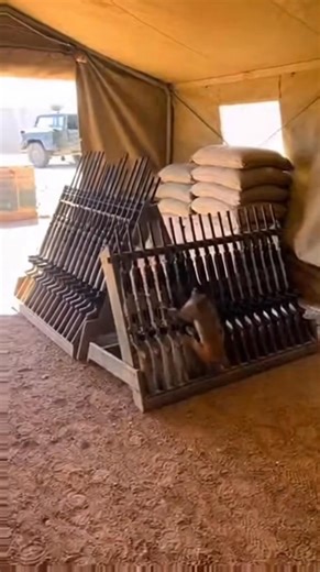 1.9K views | "Monkey Disturbs Soldiers" #soldierandmonkey #MonkeyLife | MonkeyMafia | Facebook