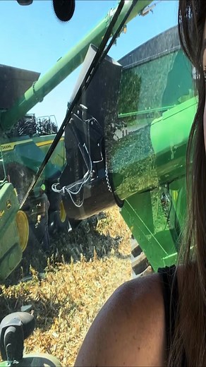 32K views · 1.3K reactions | High Moisture Corn Problems With Augers! Part 19 | Bee Farmer | Facebook