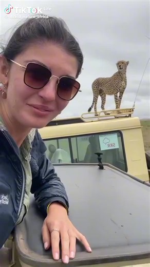 bootstrap tours. Operatar (@bootstraptours)’s videos with original sound - bootstrap tours. Operatar