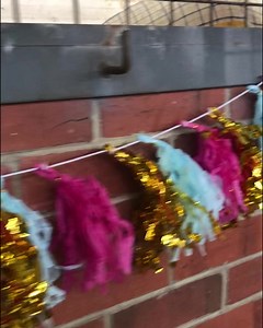 65K views · 5.1K reactions | Happy Birthday to all the horses!  Yes, all horses in the Southern Hemisphere celebrate their birthday on the same day. Here’s how we celebrated with our Police Horses 拾  #HappyBirthday #Horses | South Australia Police | Facebook