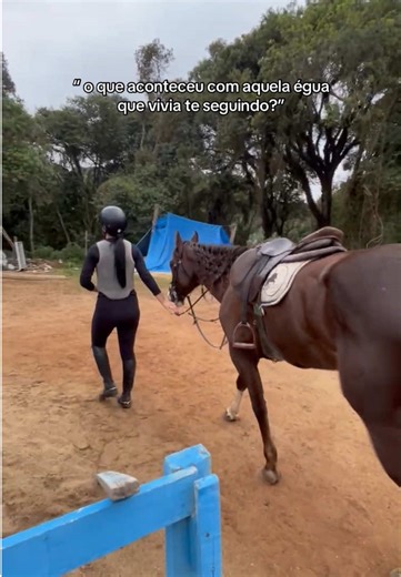 What Happened to the Mare That Followed You?