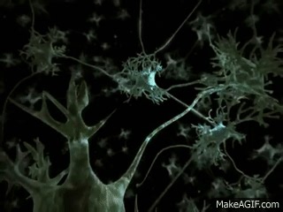 Neurotransmitter Synapse 3D Animation on Make a GIF