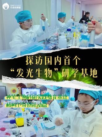 原来植物真的会发光！✨这群孩子在太空舱里看到了奇迹🌱 提取DNA、喂深海精灵、种下一棵树…国内首个“发光生物”研学，太酷了！ 下一期什么时候？你们说了算👇 #发光植物 #亲子研学 #科学实验 #周末去哪玩 #托特科学合肥