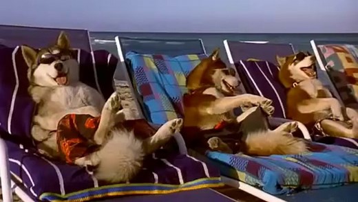 Snow Dogs (2002) HQ trailer