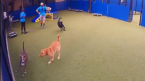 City Park Cam, Jefferson