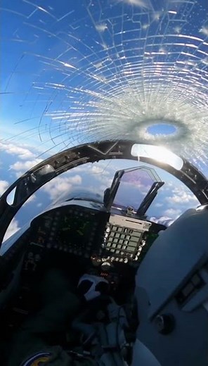 Cockpit GoPro — huge bird slams directly into canopy at high speed #jet #crash #fighter