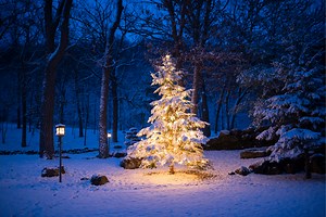 The Best Commercial You'll See All Year