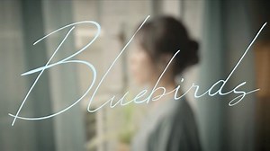 蔡健雅《bluebirds》mv