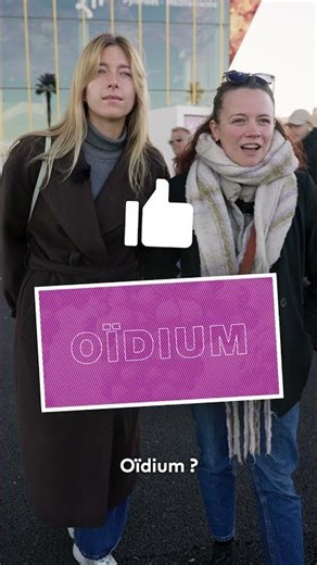 Quand on rend l’imperceptible prévisible...