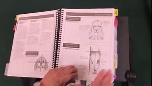 Are your a #RealLifeGroomer? Then you must own "Notes from the Grooming Table - 2nd Edition"! This book will help you build your grooming career and boost your communication levels with your peers and clients. Notes has stood the test of time and continued to be a leading reference guide in our industry. Check out free instructional grooming videos here! https://www.learn2groomdogs.com/get-ready-for-the-rebound/ | Learn2GroomDogs.com