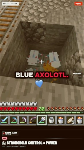 Day 4 — I named him Polymarket before we even got him and still nothing 😭🔵 | The Blue Prophecy