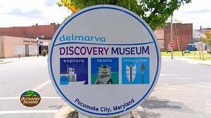 We recently got a tour of the beautiful Delmarva Discovery Museum! Check it out! | Outdoors Delmarva | Facebook