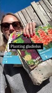 How to plant gladiolus bulbs🧅🌷 #gladiolus #lushspaces #gardeningtips