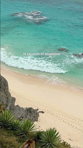 Sights and Sounds from Bermuda | Go To bermuda