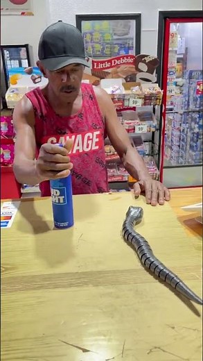 Best Realistic Fake Snake Review in 2021 | Available on the Market Today