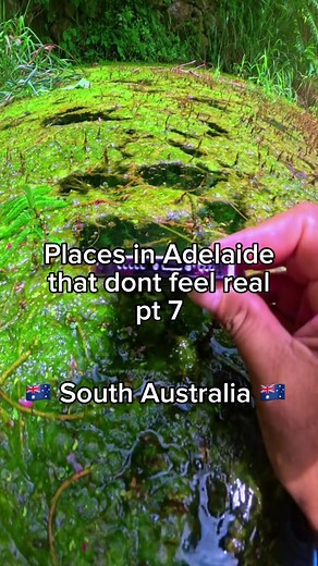Beautiful Places to Visit in Adelaide, Australia