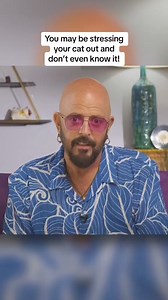 You may be stressing out your cat and not even realize it! Watch the full video on YT to learn more. #Cats #Stress | Jackson Galaxy