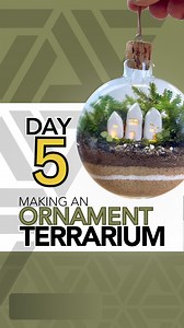226K views · 6.9K reactions | Day 5 of making an ornament terrarium  The terrarium plants I used cuttings of are peacock moss and fittonia #tutorial #plants #terrarium #moss #howto #diy #portland | Johnathon Q Swanson | Facebook