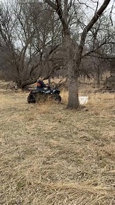 24K views · 397 reactions | #Farmer #Rancher #Kansas #Nebraska #Midwest #MidwestLiving #CountryGirl #CountryLiving #Country #Pastures #Pastureland #Cattle #Cows #CowsOfInstagram | femalefarmerrancher | Facebook