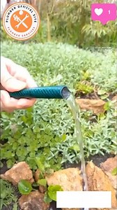homemade pipe clamp