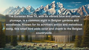 Discovering Belgiums Avian Wonders: Top 10 Native Birds in Belgium