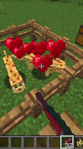How to breed Ocelots in Minecraft #ocelots #minecraftbreeding