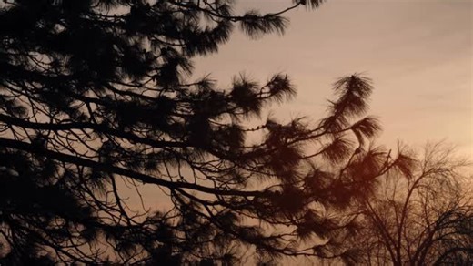 Michael Perry on Instagram: "For Sale: 3459 Crestwood Drive Really proud of my friends on this one. Tucked into one of the farthest-east streets in all of Salt Lake City, this home sits at the very top of the neighborhood, with the mountain as your literal backyard neighbor. As you drive up, the house almost hides from view, perched above a retaining wall and surrounded by mature trees. It feels incredibly private, and that’s the rare part: most homes with views don’t come with privacy, but this