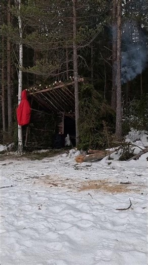 I Built a Winter Shelter From Scratch 🌲❄️ #bushcraft