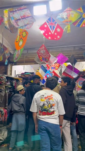 🪁 Makar Sankranti ￼🪁#sahil #daily #vlog #kitefestival #kitelover #makarsankranti