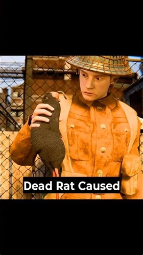 Dead Rat Caused a MASSIVE Explosion? 🤯 WW2’s Most Insane Sabotage Trick #shorts