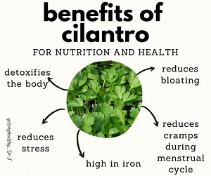 3.1K views · 32 reactions | Cilantro is a rich source of many...
