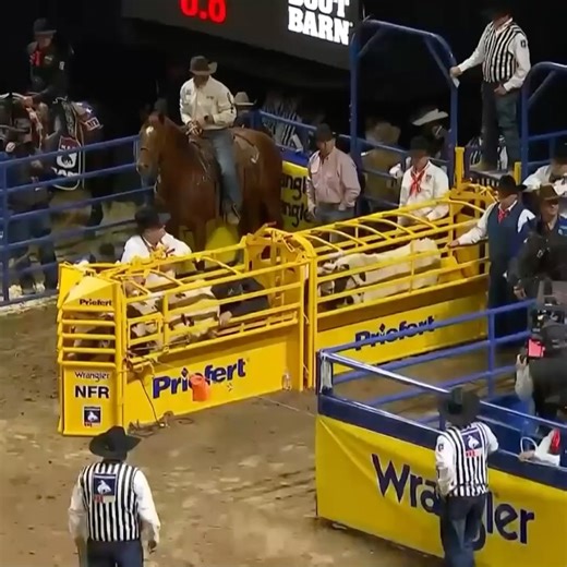 9.8K views · 1K reactions | CowboyChannel on Reels | Facebook