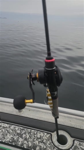 🎣 Some video from yesterday's fishing. Palm and Caprice lures to test from monsterfishing.co.nz! Run on XBraid and Decoy clips. So good! Cheers Capt Nik #snapfishingventures #snapper #lurefishing #slowjigging #charter #guide #sealife #fishinglife #pilchards #spring #breambay #dolphins | Snap Fishing Ventures