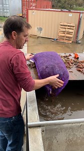 Washing crawfish and boiling at Millers Mart Seafood And Deli in Hammond, LA! | Anna The Archer